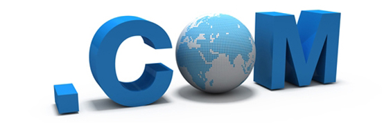 第一步驟：注冊域名